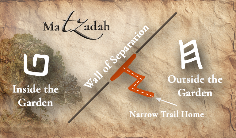 Bachar separation content-image