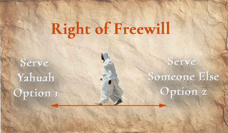 right of freewill copy content-image