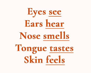 senses copy content-image