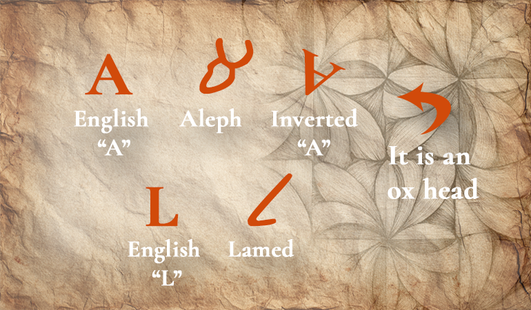 Alef and lamed examples content-image