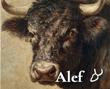 Alef picture content-image