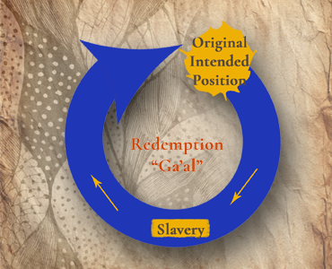 Gaal redemption P content-image