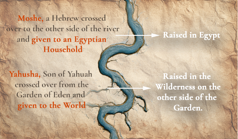 Moshe Yahusha parallels P content-image