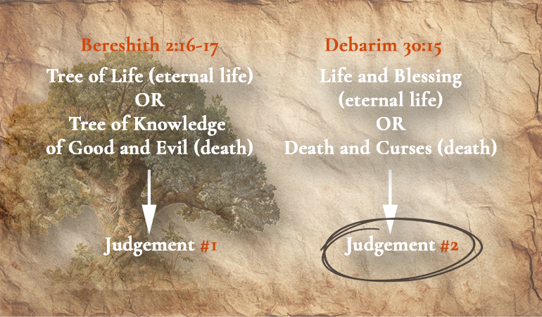 choices P content-image