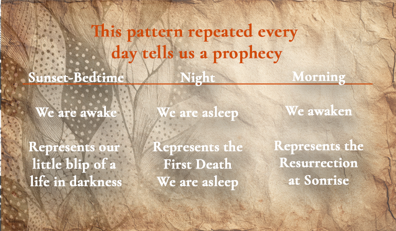 daily pattern P content-image