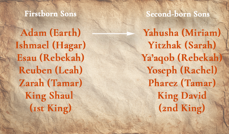 firstborn son pattern P content-image