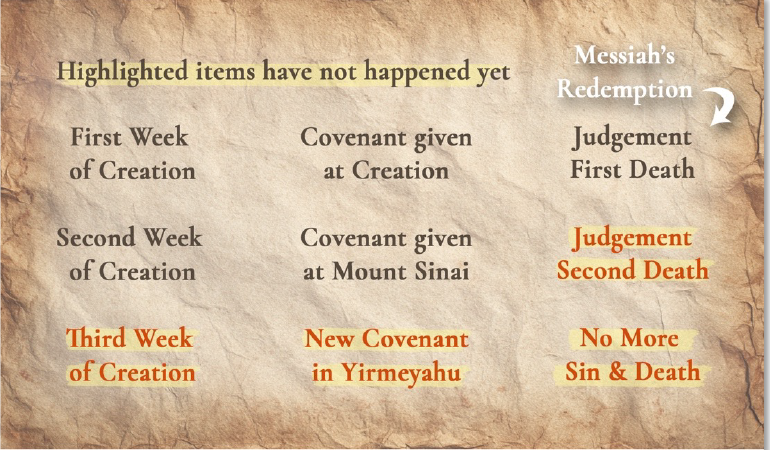 highlighted content-image