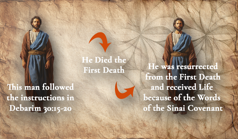 resurrection 1P content-image