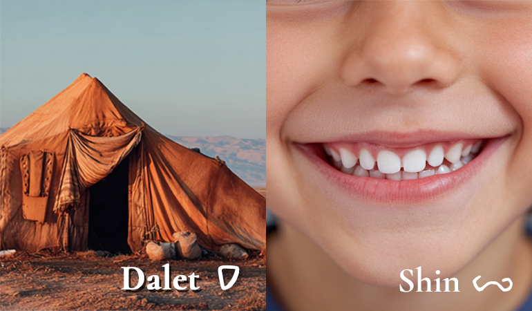 shin dalet content-image
