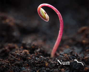 Nun picture content-image
