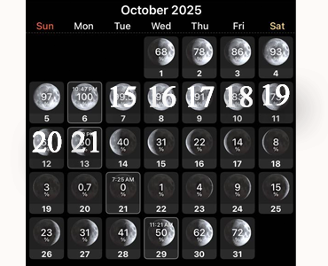 October 2025P2 content-image