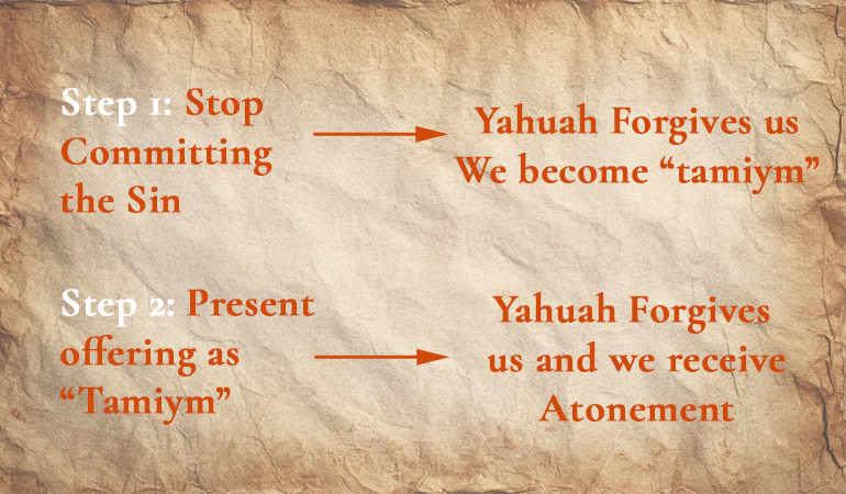 forgiveness ex content-image
