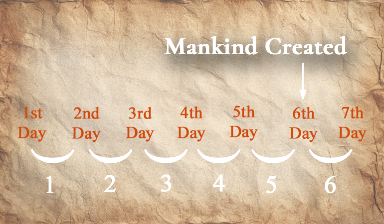 man 6th day content-image