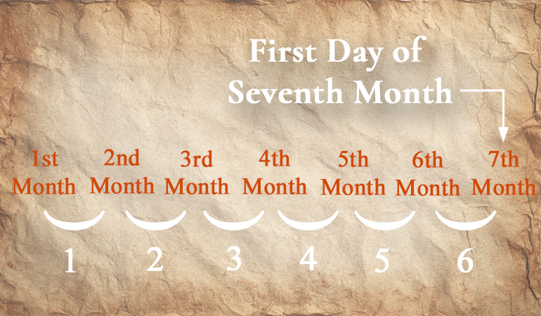 man 7th month content-image