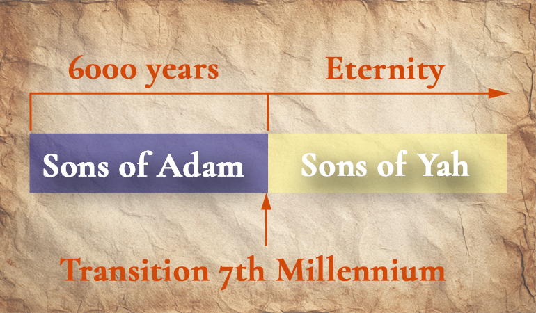 man transition content-image