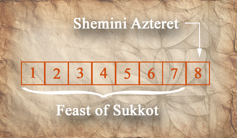 shemini content-image