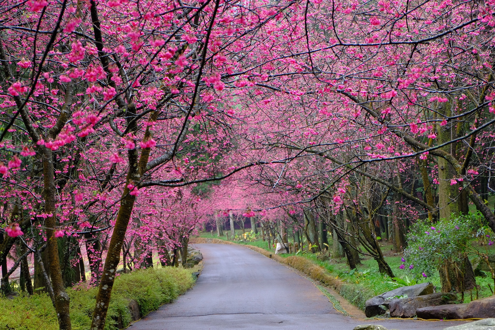 spring content-image