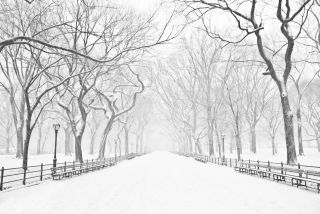 winter content-image
